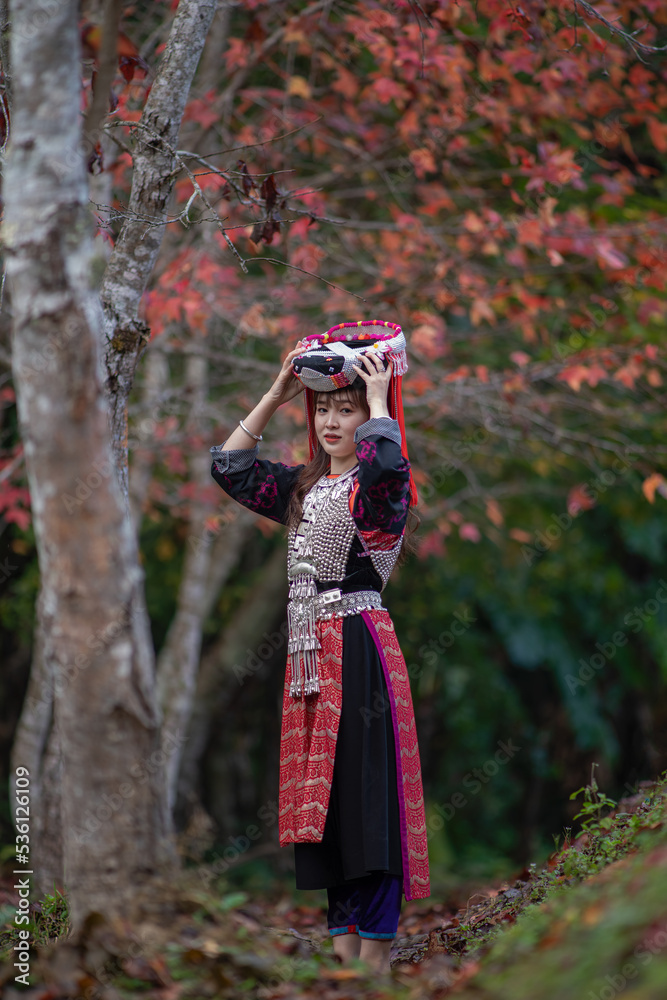 Women of Lisu Hill Tribe show colorful and beautiful traditional clothes walking in maple garden Women of Lisu Hill Tribe show colorful and beautiful traditional clothes walking in maple garden