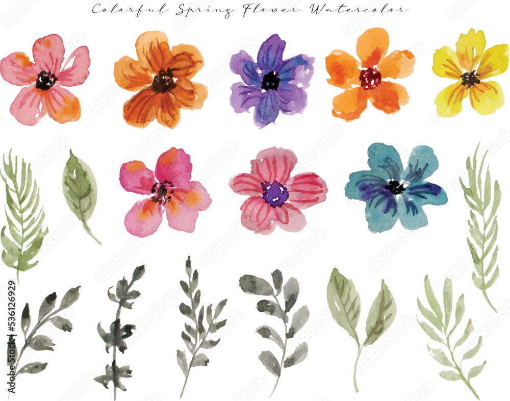 set of colorful wild flower and leaf watercolor	
