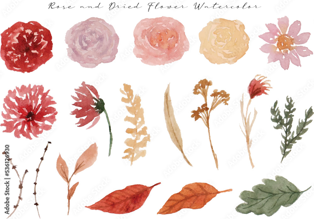 set of beautiful red and pink flowers and leaf watercolor	