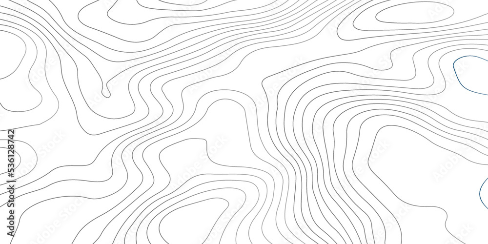 Black and white wave abstract topographic map contour, lines Pattern background. Topographic map and landscape terrain texture grid. Wavy banner and color geometric form. Vector illustration. Black and white wave abstract topographic map contour, lines Pattern background. Topographic map and landscape terrain texture grid. Wavy banner and color geometric form. Vector illustration.