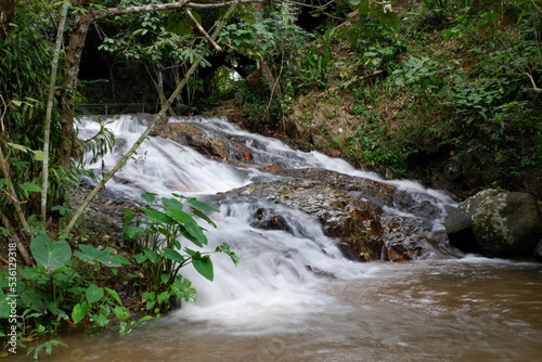 waterfall in the forest