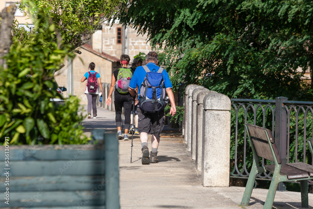 Obraz premium A group of pilgrims walks in the second stage of the Spiritual Variation of the Portuguese Camino de Santiago. Place of Cabanelas, Ribadumia in the Armenteira to Vilanova de Arousa stage.