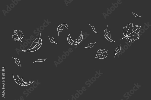 Leaves fall set in doodle style, vector illustration. Wave cold air during windy weather. Maple leaf outline for print and design. Isolated black element on chalkboard background. Autumn symbol