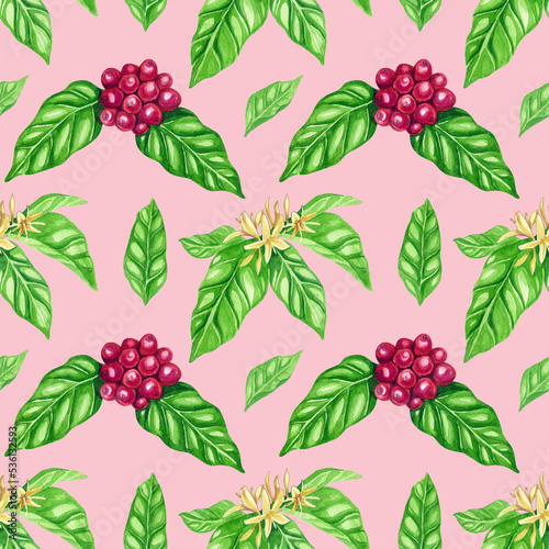 Blooming coffee branch, ripe coffee beans, seamless pattern. Watercolor illustration.