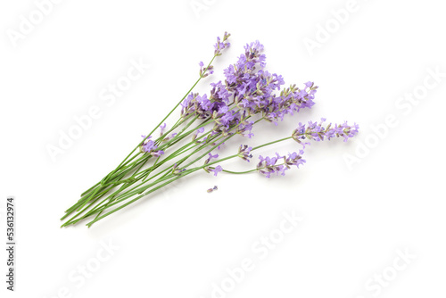 Lavender flowers bouquet on a white background. Top view.