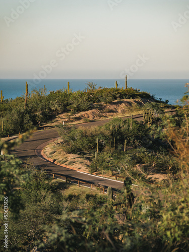 Road to Saltito, Baja California, Mexico