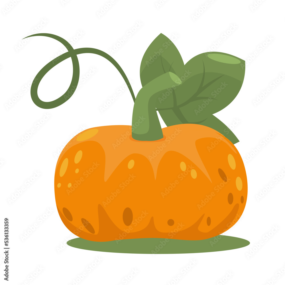 Orange pumpkin with leaf in flat style. Autumn harvest isolated on a white background. Orange pumpkin with leaf in flat style. Autumn harvest isolated on a white background.