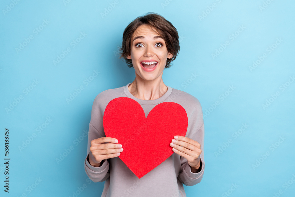 Photo of gorgeous nice girl with bob hairdo dressed gray sweatshirt impressed holding big red heart isolated on blue color background Photo of gorgeous nice girl with bob hairdo dressed gray sweatshirt impressed holding big red heart isolated on blue color background