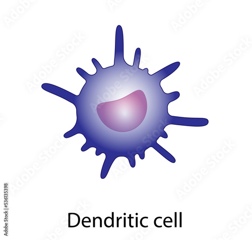 Dendritic cell of immune system, stained microscopic cell, vector illustration 