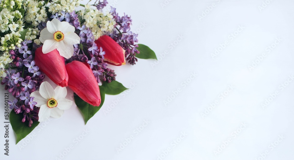 Red tulips and white daffodils on a white background. Spring flower arrangement. Background for a greeting card. Red tulips and white daffodils on a white background. Spring flower arrangement. Background for a greeting card.