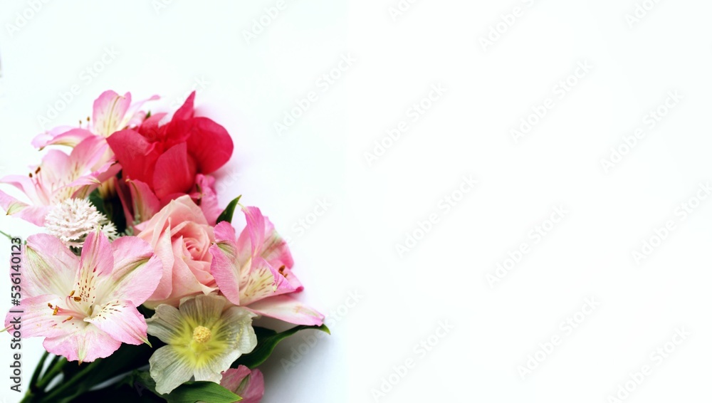 Red and pink flowers of alstroemeria on a white background. Delicate floral arrangement. Background for a greeting card.