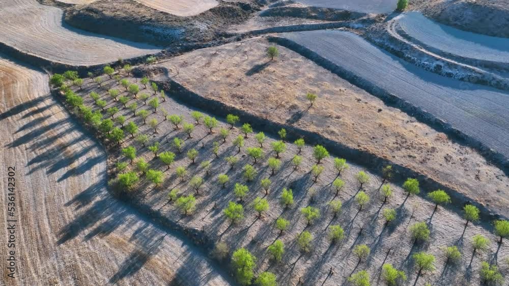 Aerial view of almond trees, cereal and pine forests in the surroundings of the city of Calatayud. Saragossa. Aragon. Spain. Europe Aerial view of almond trees, cereal and pine forests in the surroundings of the city of Calatayud. Saragossa. Aragon. Spain. Europe