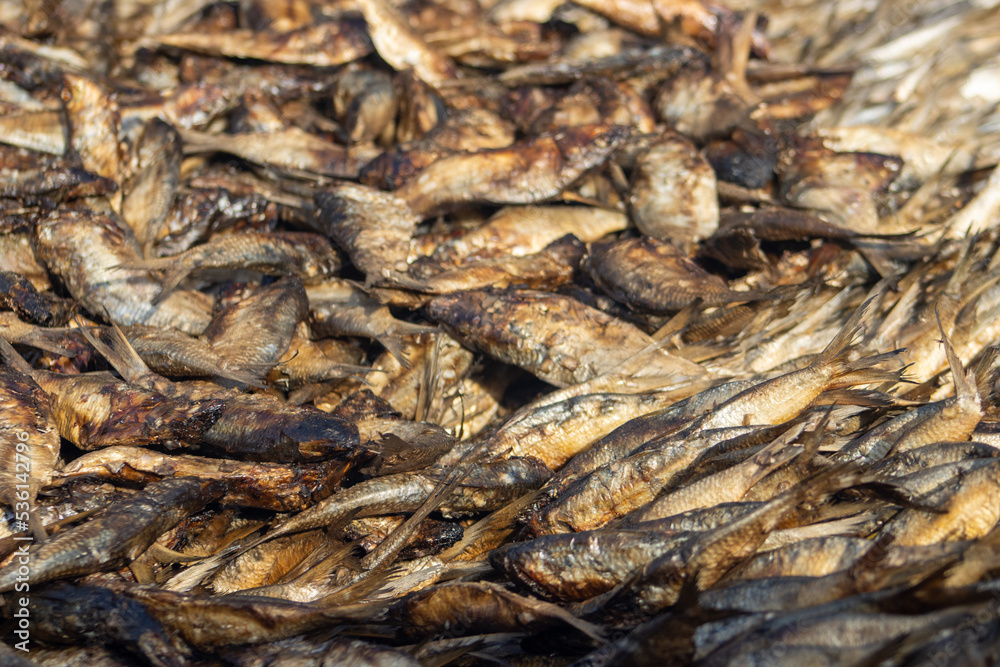 close up of smoking fresh caught bonga fish (Ethmolosa fimbriata) in The Gambia and Senegal