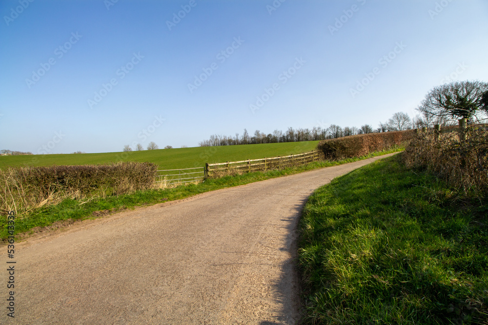 country lane and farm road in the West Coutry in Winetr with bare trees, hedge rows, green fields and clear blue skies 