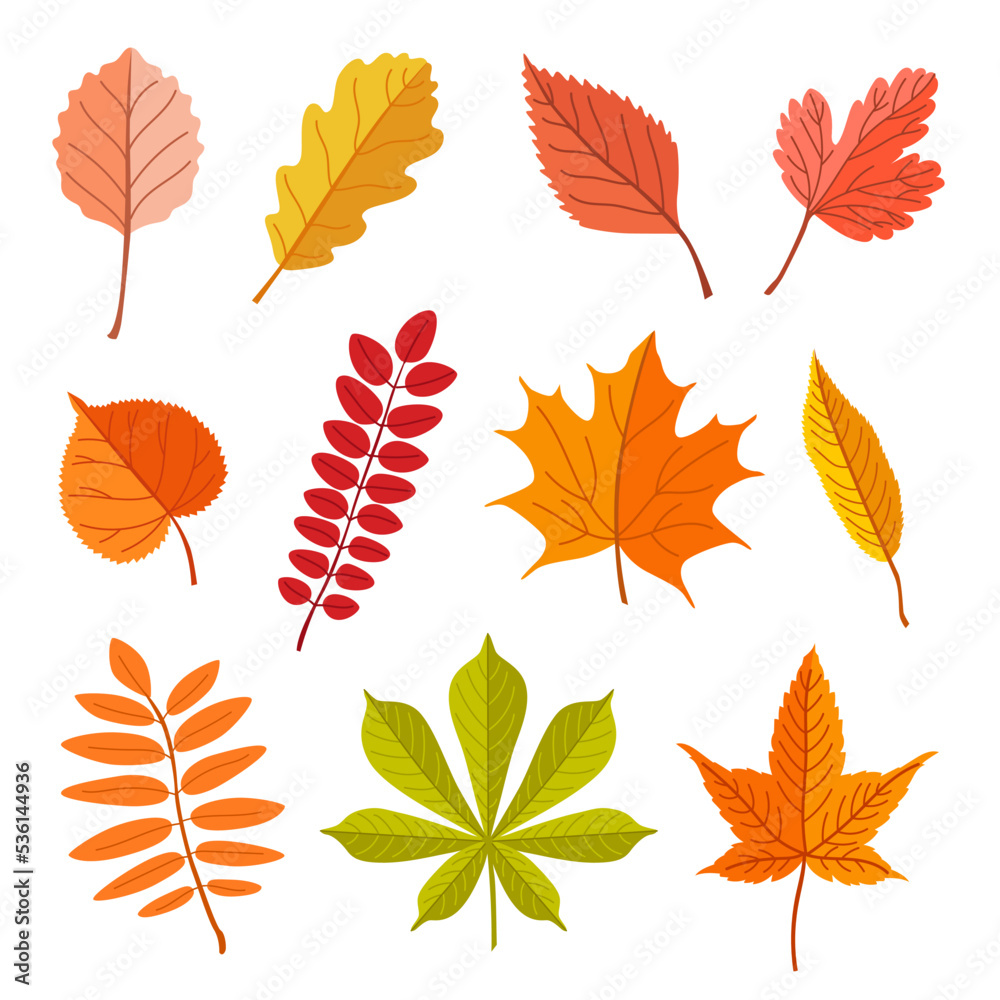 Fallen leaves of different trees vector illustrations set. Forest foliage, dry green, yellow, brown, orange leaves isolated on white background. Autumn or fall, nature, plants concept for decoration Fallen leaves of different trees vector illustrations set. Forest foliage, dry green, yellow, brown, orange leaves isolated on white background. Autumn or fall, nature, plants concept for decoration