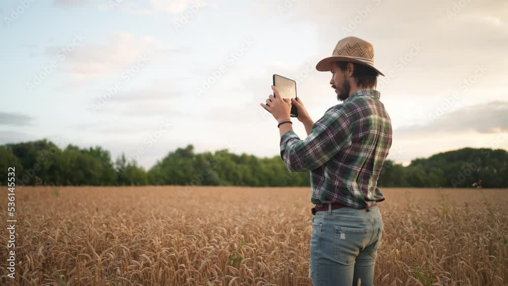 Farmer agronomist using tablet computer in field wheat Farmer agronomist using tablet computer in field wheat