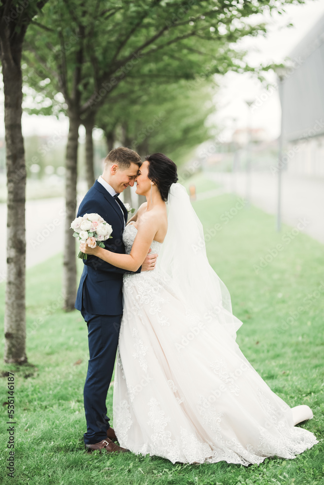 Wedding couple on the nature is hugging each other. Beautiful model girl in white dress. Man in suit Wedding couple on the nature is hugging each other. Beautiful model girl in white dress. Man in suit