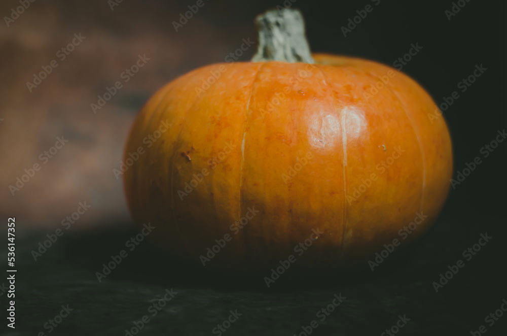 pumpkin on black background