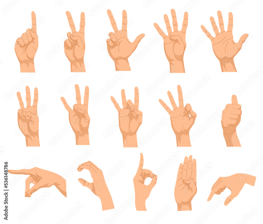 Set of different hand gestures. Vector illustrations of human palm showing numbers, gesturing signs. Cartoon peace symbol, thumbs up, ok positions isolated on white. Hand communication concept Set of different hand gestures. Vector illustrations of human palm showing numbers, gesturing signs. Cartoon peace symbol, thumbs up, ok positions isolated on white. Hand communication concept