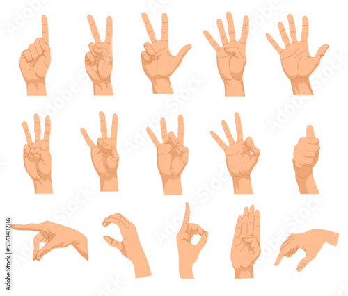 Set of different hand gestures. Vector illustrations of human palm showing numbers, gesturing signs. Cartoon peace symbol, thumbs up, ok positions isolated on white. Hand communication concept