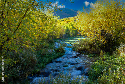 mountain stream