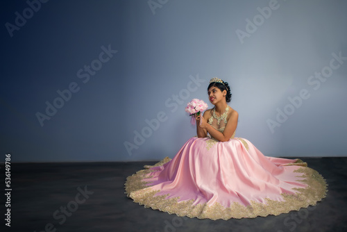 Beautiful woman in dress - princess pink costume. blur background with space for text