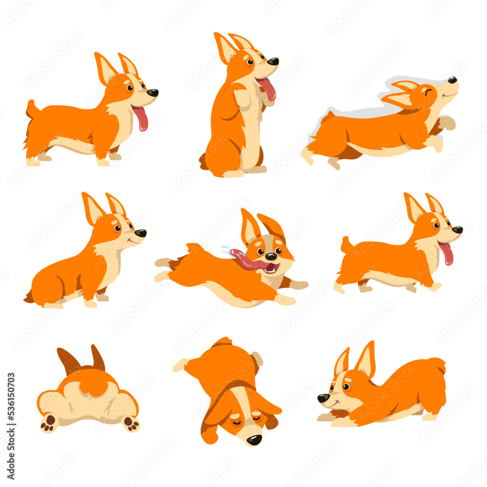 Corgi dog character set with different emotions. Vector illustrations of corgi poses. Cartoon comic puppy sleeping, cute friendly doggy sitting isolated on white. Pet care, domestic animals concept