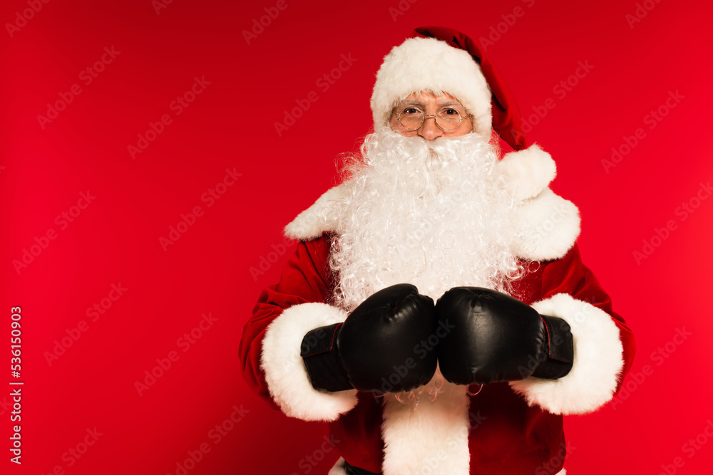 Bearded santa claus in boxing gloves looking at camera on red background. Bearded santa claus in boxing gloves looking at camera on red background.