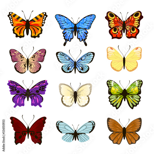 Set of watercolor butterflies. Vector illustrations of insects with different patterns on wings. Cartoon collection of silhouettes with flying butterflies isolated on white. Nature, tattoo concept © PCH.Vector