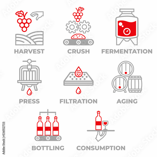 Wine manufacturing process. Wine production process stages. Factory-producing wine flat illustration.