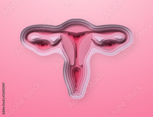 Realistic 3D paper cut human uterus illustration. Layered colorful reproductive female organ for medicine project. Women sexual health, cancer prevention or fertility concept.
