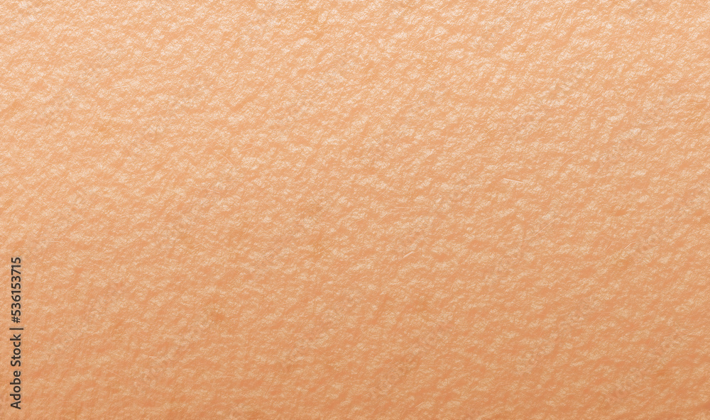 Fototapeta premium Skin of human face macro