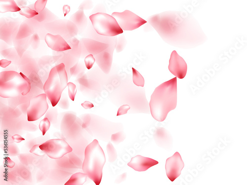 Pink sakura flower flying petals isolated on white vector background.