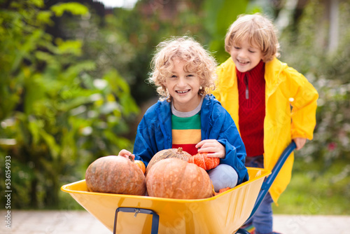 Kids on pumpkin patch. Child autumn outdoor fun.