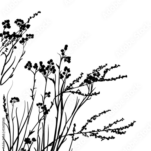 Black Meadow Grass Silhouettes Border, Vector Wild Flowers and Field Herbs Corner Template