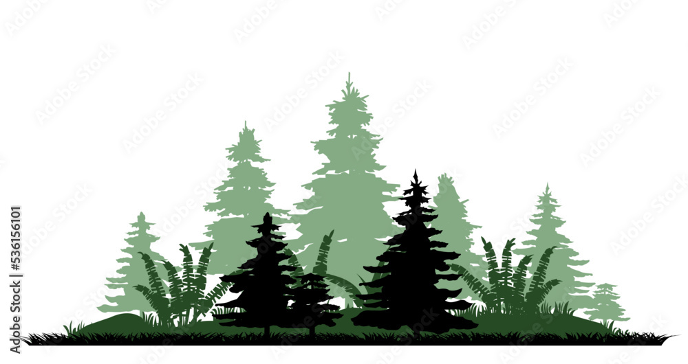 Hill with ferns. Coniferous forest with firs and pines. Landscape with trees and grass. Silhouette picture. Isolated on white background. Vector.