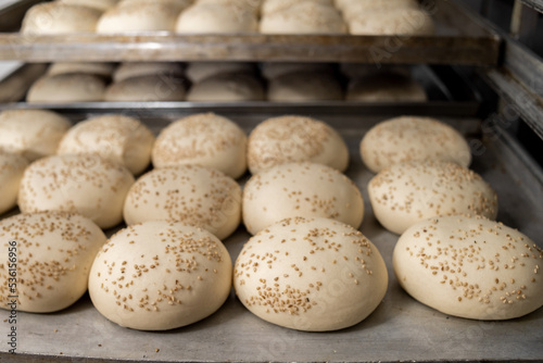 Industrial production round hamburger buns in the bakery

