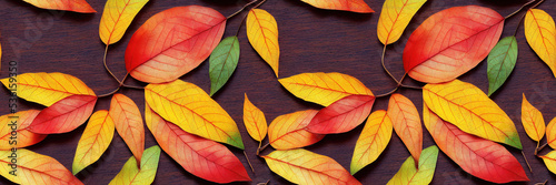 Colorful autumn leaves as seamless pattern panorama background