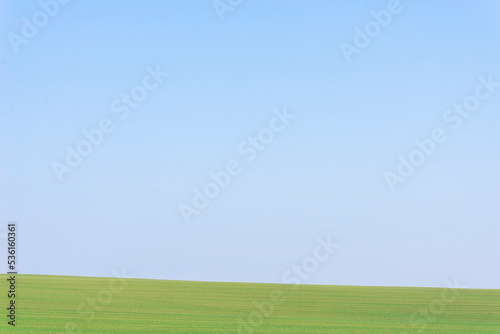 Green field with blue sky as background. © Nikolay