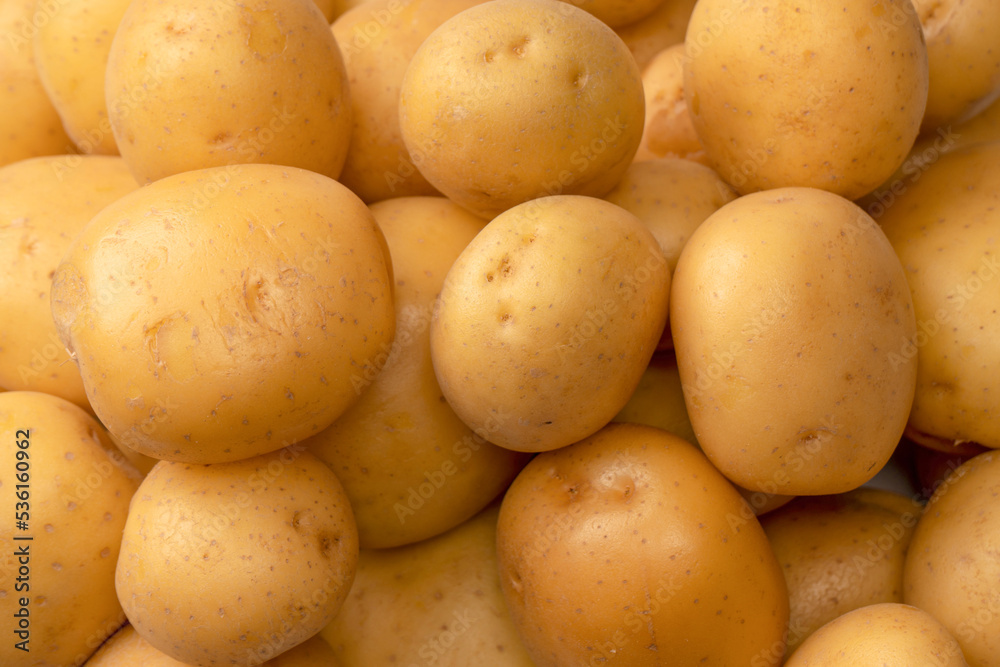 A group of fresh tasty potato as background. A group of fresh tasty potato as background.