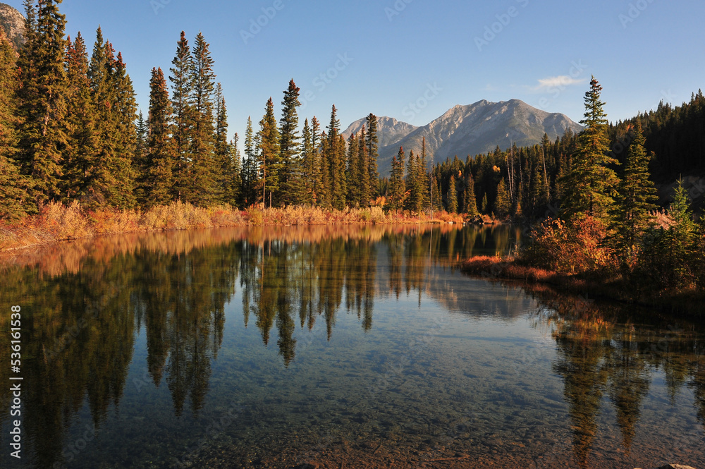 deep golden grass on autumn day reflection in pond in the mountains of Kananaskis country of Alberta