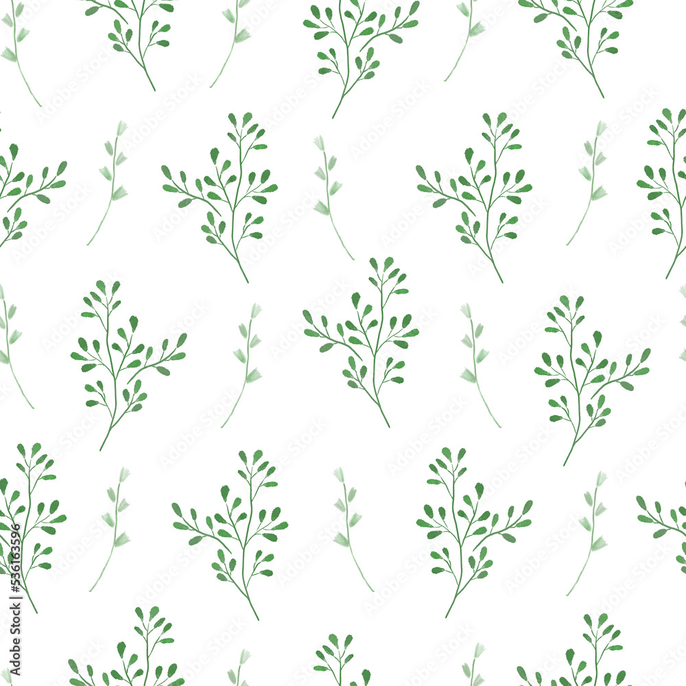 Seamless pattern hand drawn green wild herbs on white background