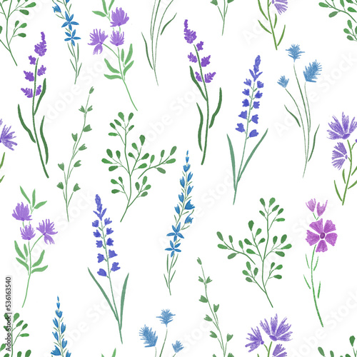 Seamless pattern hand drawn wild blue flowers and herbs on white background