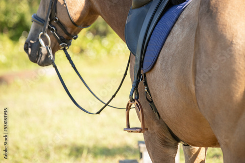 Dressage stirrup, leather and saddle on a horse. 