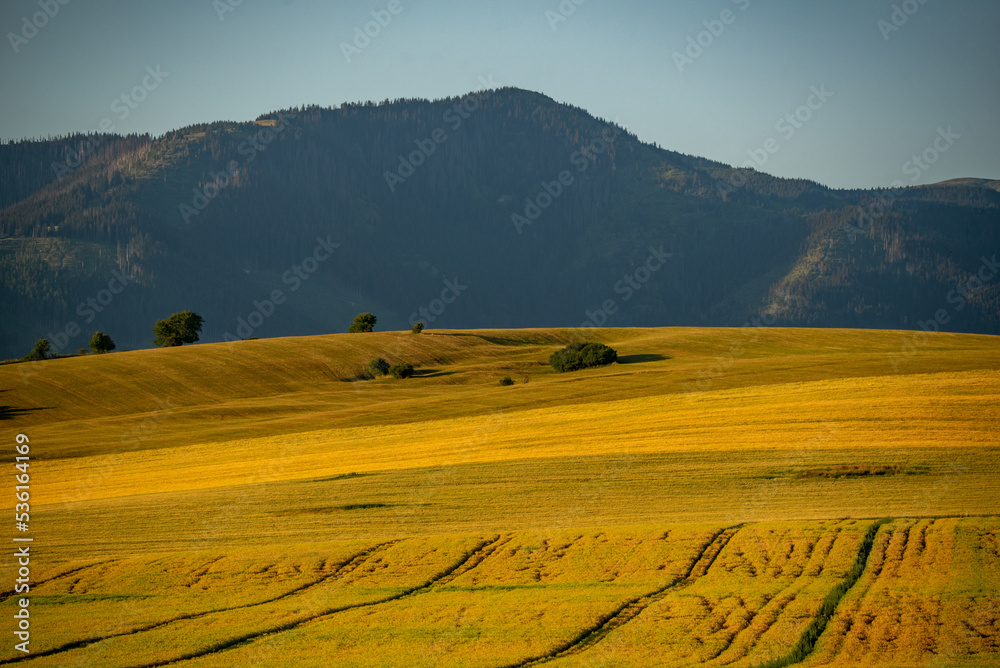 Fototapeta premium landscape in the mountains