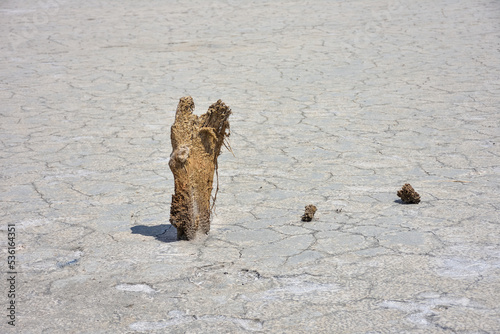therapeutic mud in dried salt lake, salt lake, bottom of salt lake