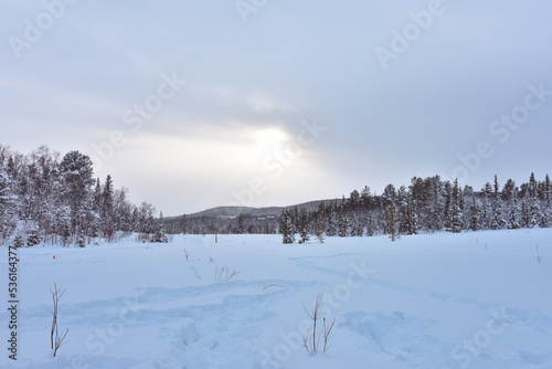 Winter in a spruce forest, spruces covered with white fluffy snow. Selective focus. Winter Landscape with Snow and Trees. Snow covered trees in forest during winter © Олег Спиридонов