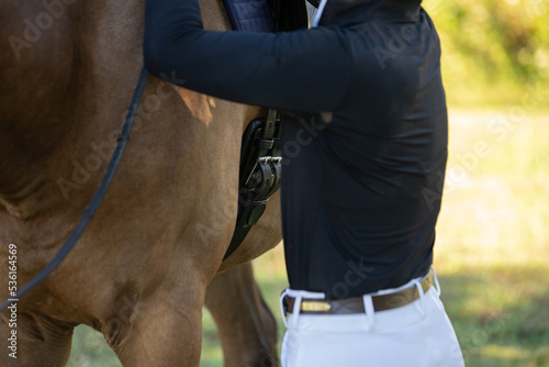 Closeup of an equestrian tacking up a dressage horse. 