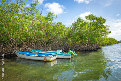 Fototapeta Naklejka Na Ścianę i Meble -  Boat resting mangrove beach sea fishing tropical Tobago relaxing view
