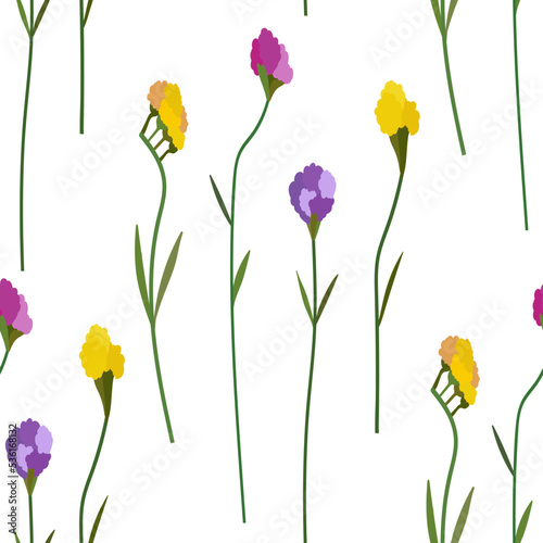 Seamless pattern with statica flowers. Floral background with hand drawn flowers.Limonium plant. photo